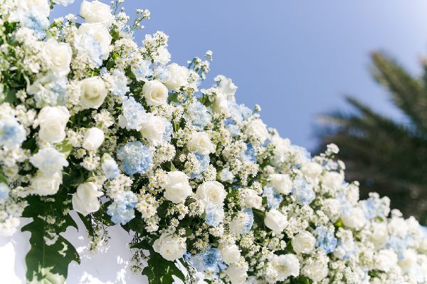 New Wedding Picture