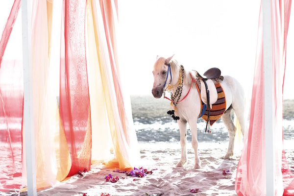 Arabian Night Wedding